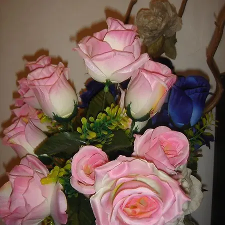 Flavia 84 Bed & Breakfast Roma